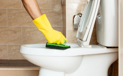 A WC-tisztítás trükkjei – Házi módszer, vagy egyszerű takarítás?